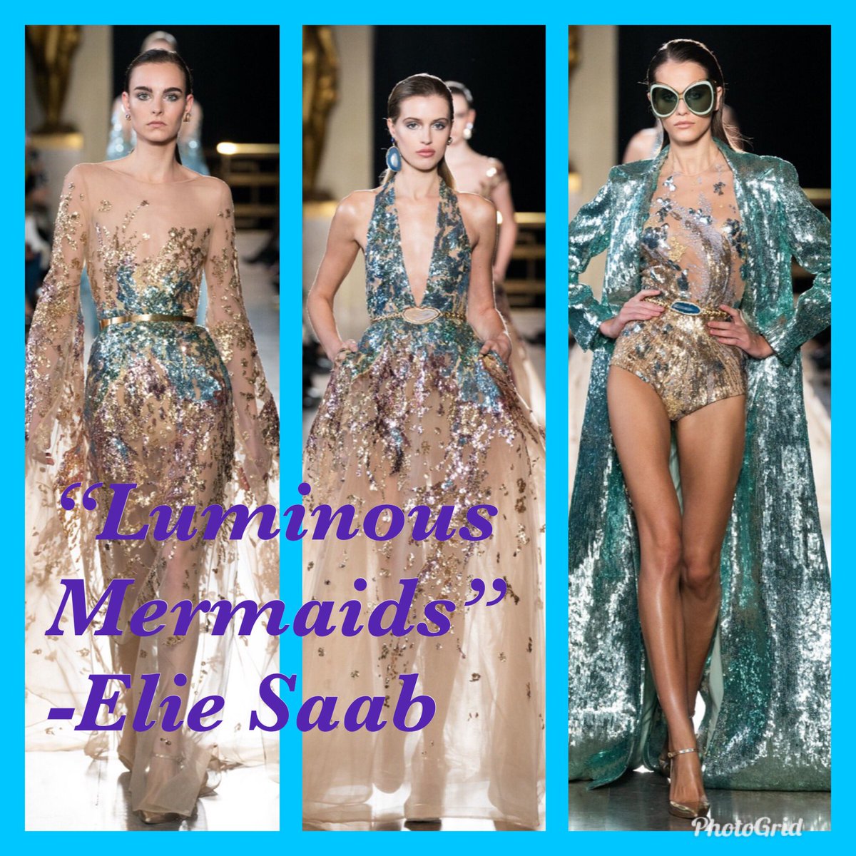 mermusing's tweet image. A beautiful collection 🌊🧜🏼‍♀️✌🏼