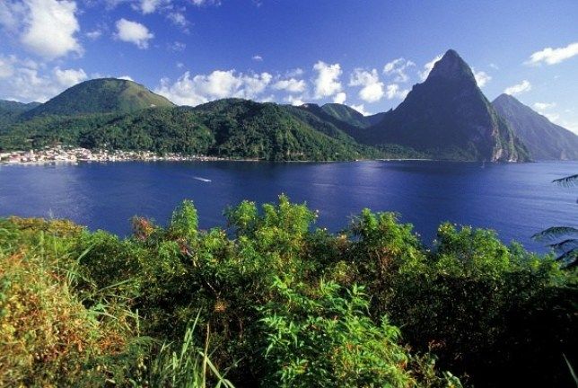 Holiday Watchdog tweet media