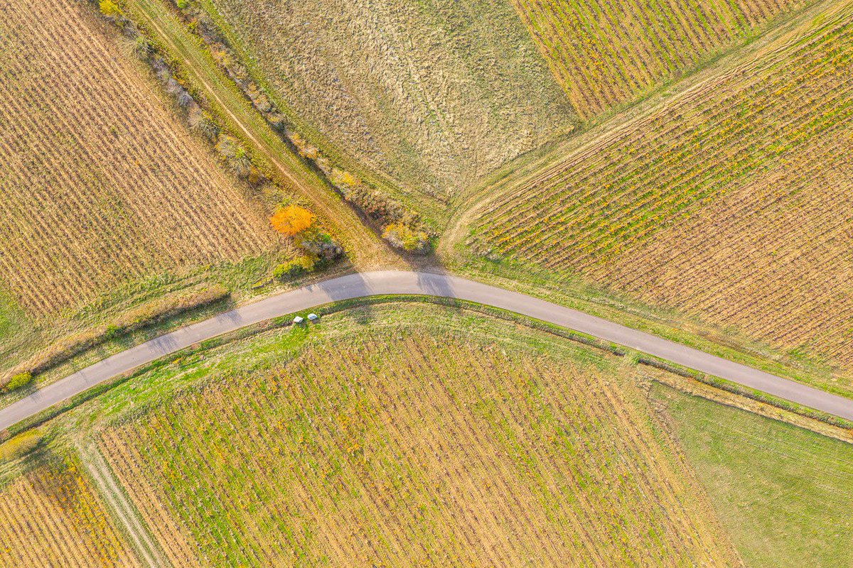 ➡️La route des vins du Domaine Saint Nicolas 🚗🍇🍷