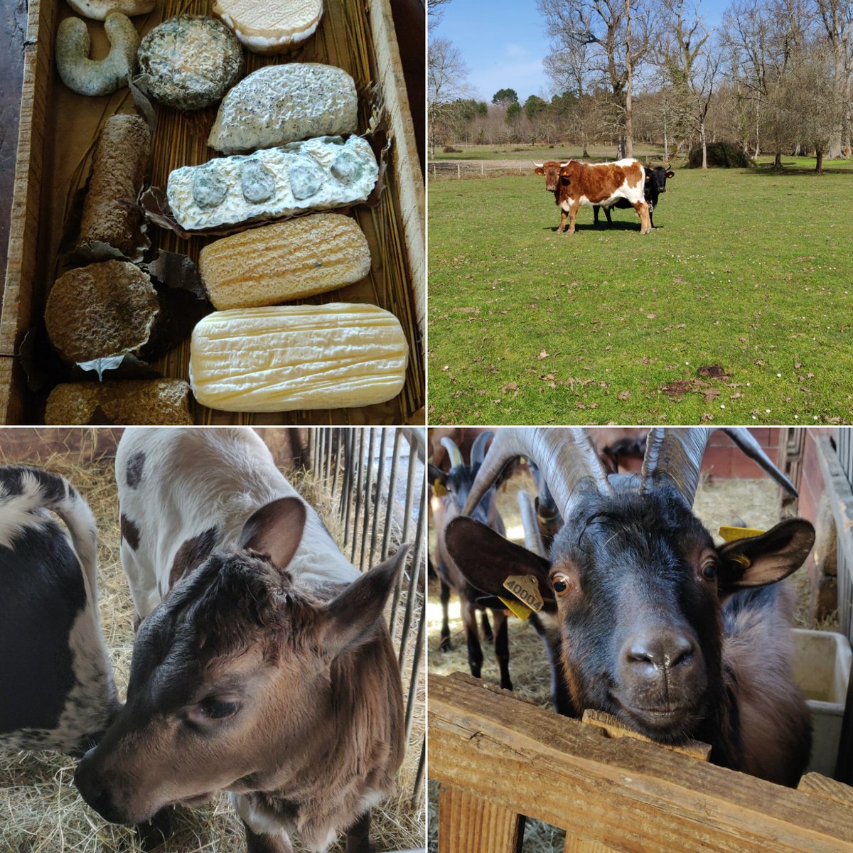 Hoteldepavie tweet media