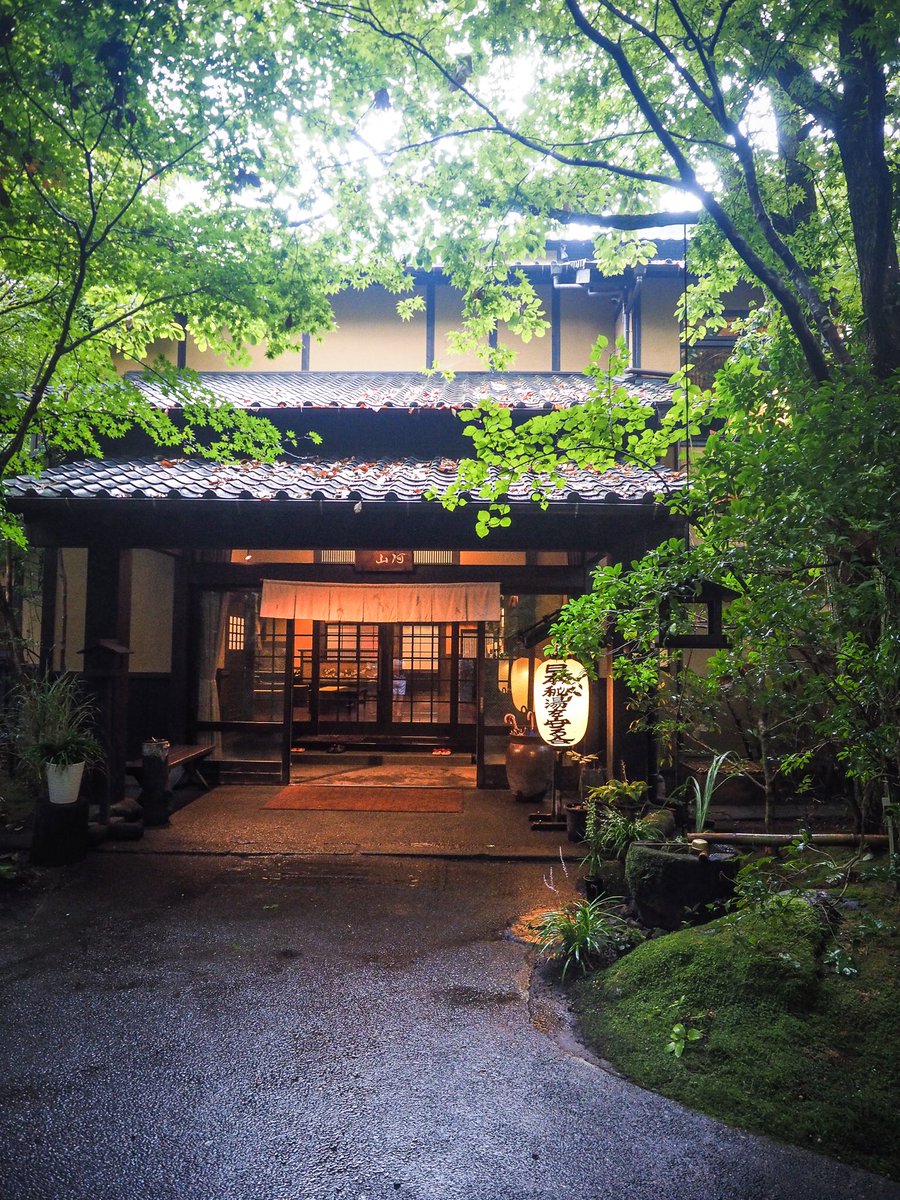 Liisa Stenberg tweet media