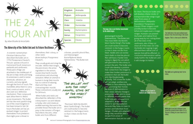 Just finished my magazine for the third exhibition, I am very proud! #WestLeyden #CoLab #Exhibition <a href="/MsGorzo/">msgorzo</a>  <a href="/JLitzhoff/">Jamie Litzhoff</a>  @Cameron88993751