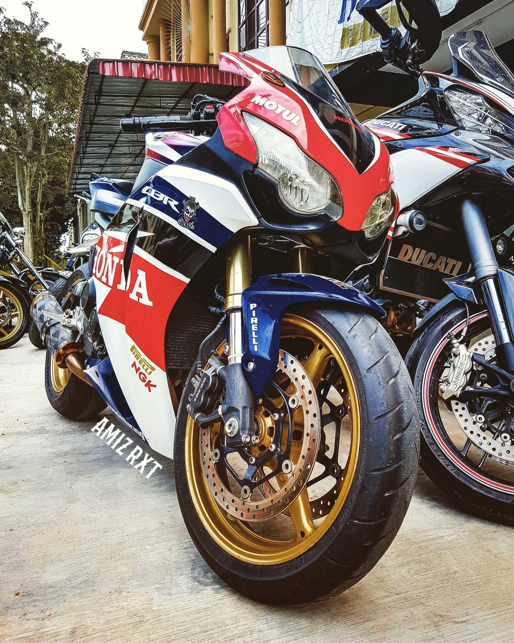 Cbr rabbit 1000rr deals