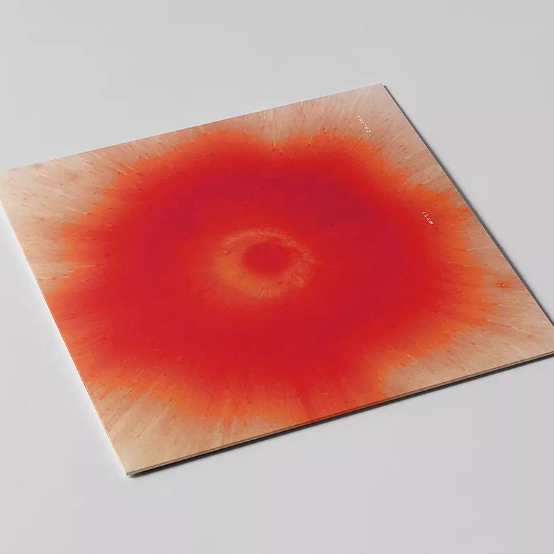 Myst returns to Fent Plates for six pieces of beautiful music 🌹

whitepeachrecords.com