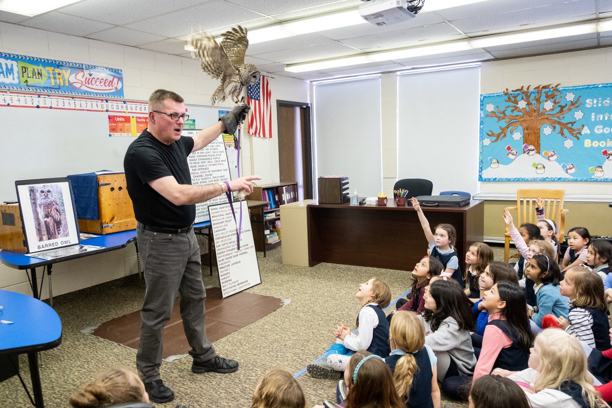 DXSF_School's tweet photo. Yesterday's Class 1 visit from WingMasters was a real "hoot!" https://t.co/P3txbHOGYh