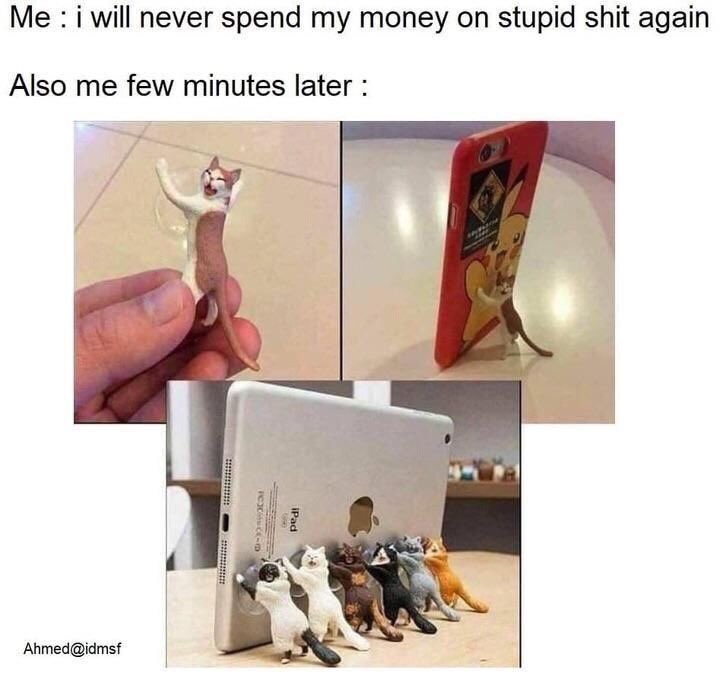 D1EdaNfW0AIezD0?format=jpg&name=900x900