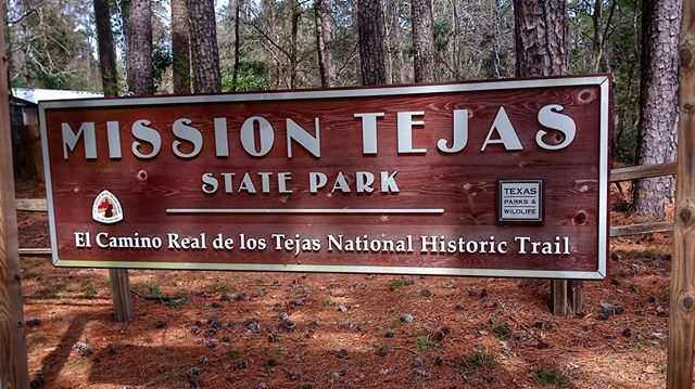 almcgillivray's tweet photo. After a few days at Village Creek SP we chose to move a few miles further north to Mission Tejas State Park. #campervan #roadtrek #roadtreking #avoidingwinter https://t.co/ICxb12VUqX https://t.co/V11QsRj53G