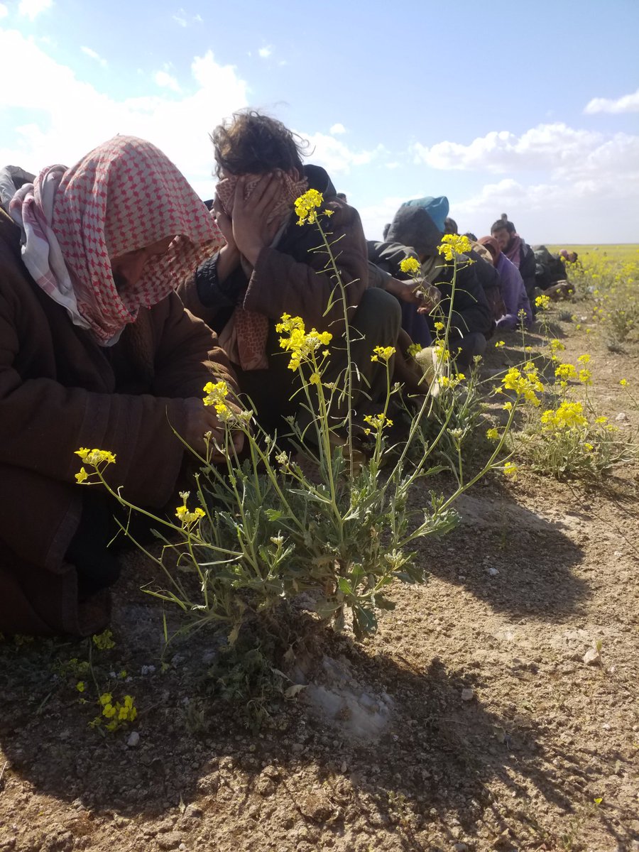 ciyager_rojava's tweet photo. CİZRE FIRTINASI...
Şimdi... Teslim olan çeteler...
#YPJ #SDF #YPG #QSD https://t.co/KmtZqIDO9s