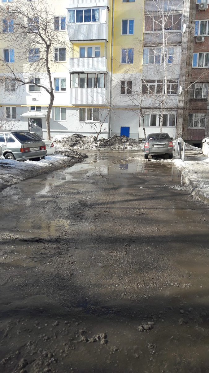 ПЖРТ tweet media