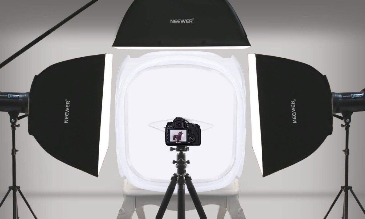 wellytones's tweet photo. That’s the #Festival #Tent sorted then!
Well... not quite 😂
#PhotoShoot begins this weekend!
#FestivalSeason #FestivalFashion #Wellies #Wellingtons #Wellytones #Photography #LightTent #DIY #ImReadyForMyCloseUp 📸😘👌 https://t.co/FunAaw3bQR