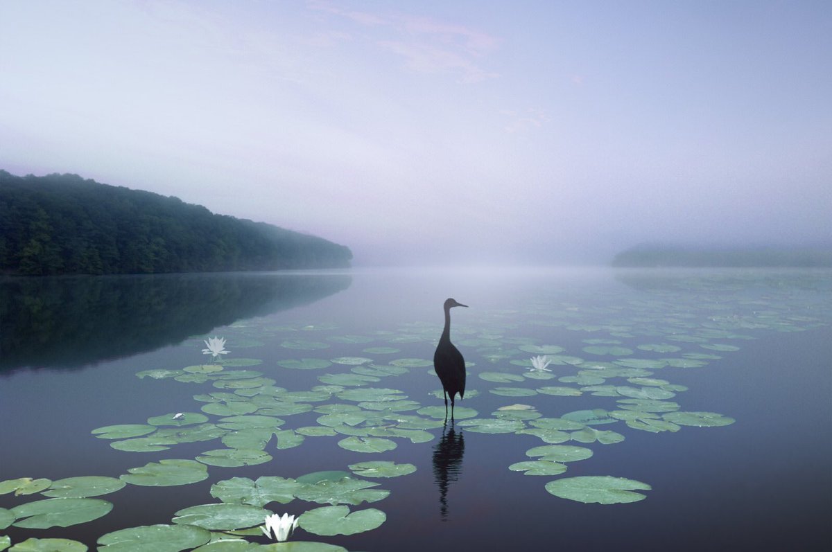 " La nature n'est pas seulement matière, elle est aussi esprit. "

Carl Gustav Jung

Petros Koublis