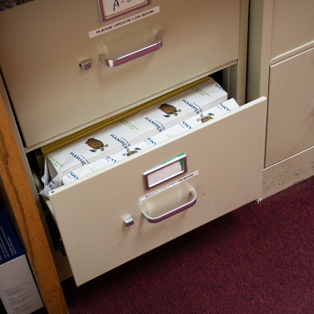 RBCCPA's tweet photo. This is where we keep all of our turtle files. We really shouldn’t even post this. This is top secret stuff. https://t.co/4Kho9fZbX4