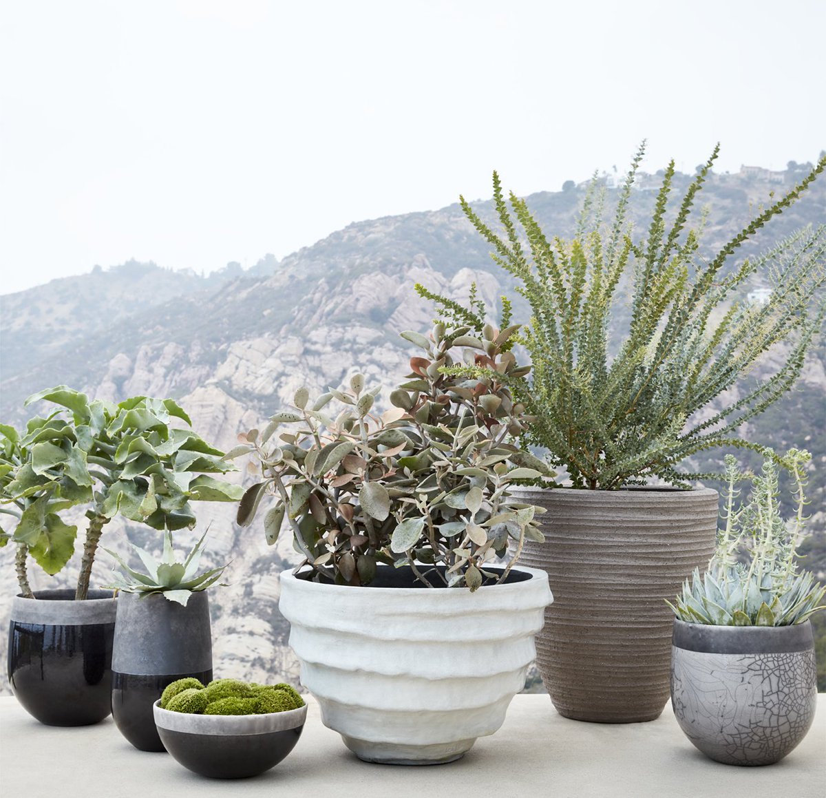 Need accessories now? Our Spring Domani drops are available by Quick Ship!  #Sutherlandfurniture