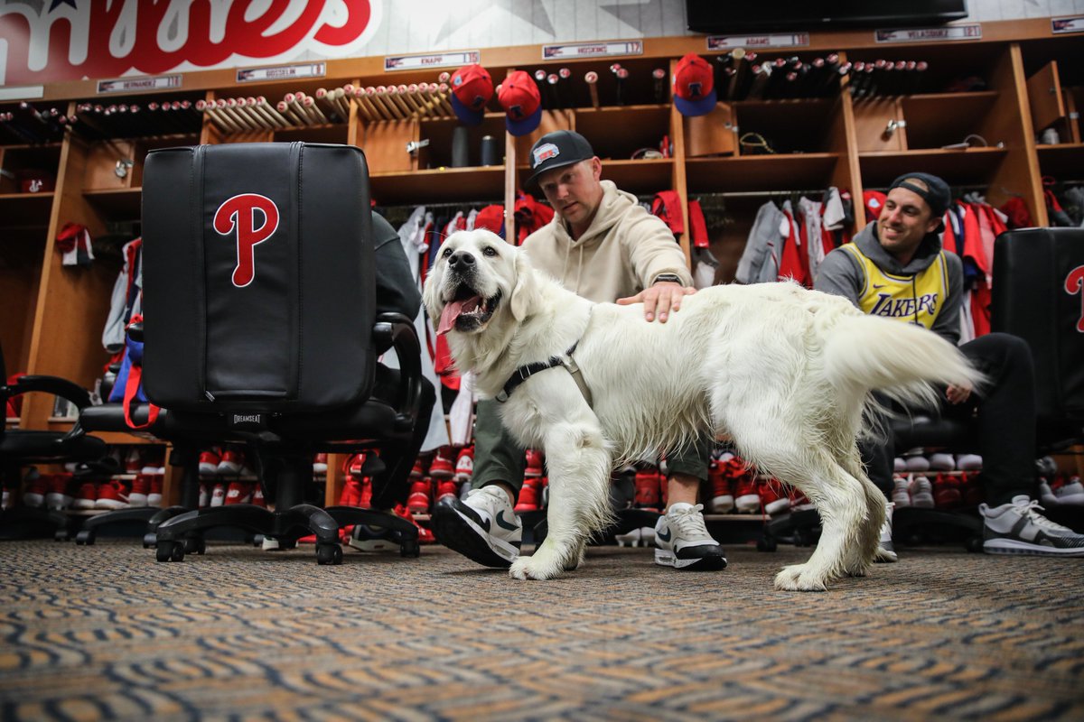 This is <a href="/rhyshoskins/">Rhys Hoskins</a>’ dog Rookie.
   
He is a very good boy.
   
17/10 would pet again.