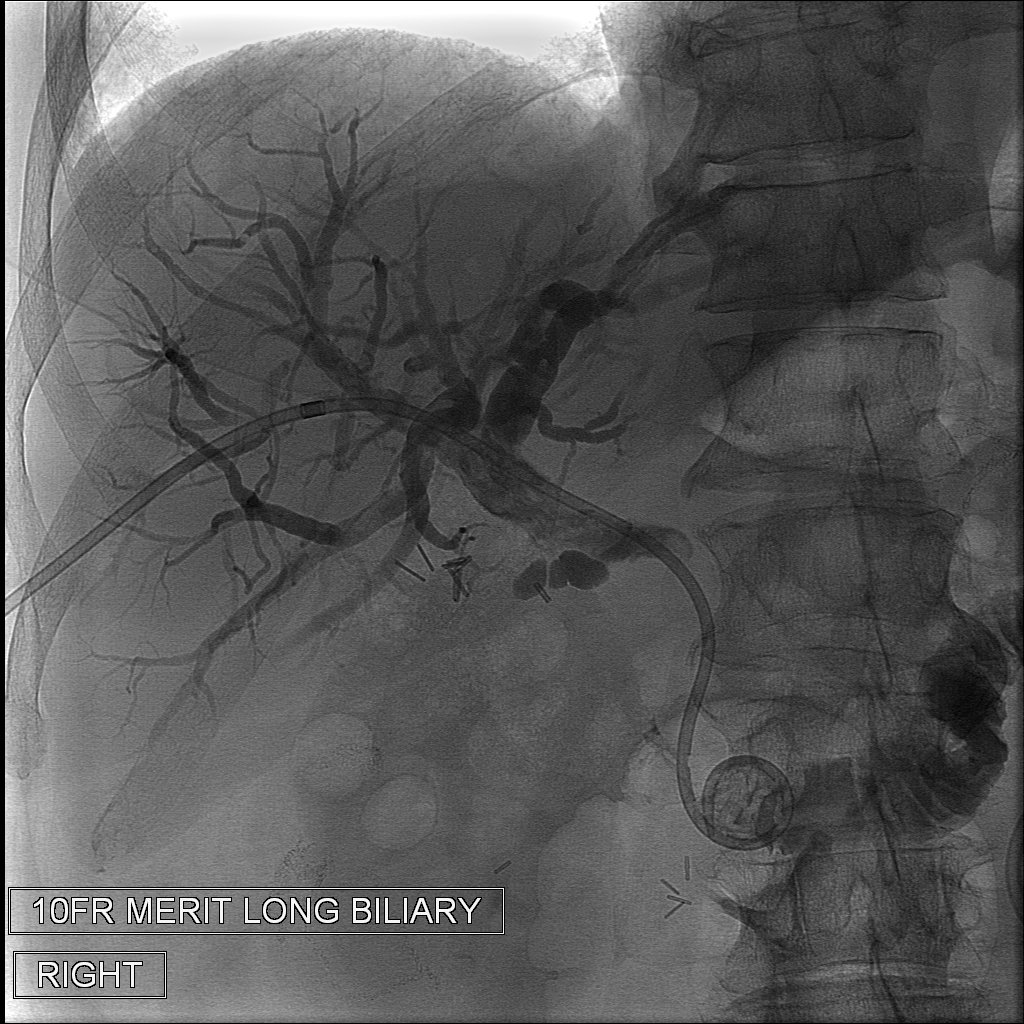 Nathan Ertel MD tweet media