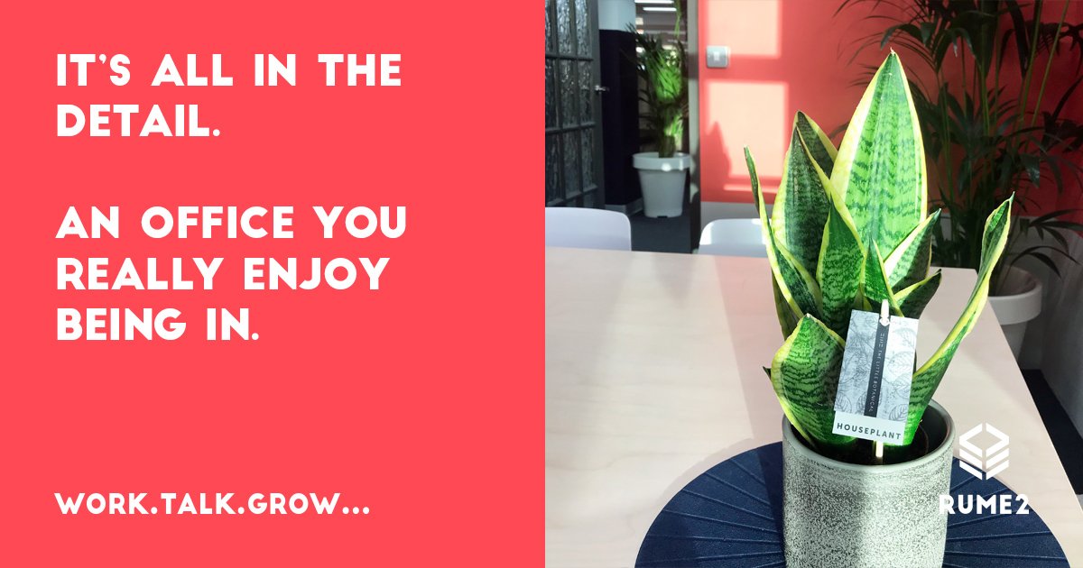 We are still discovering lovely moments within our Rume2 walls. Like yesterday when the rain stopped & the sun appeared in our meeting room. #chichester #coworking #coworkingspace #meetingroom  #entrepreneur #freelancer #chichestercoworking  #greenworkspace  #officeplants