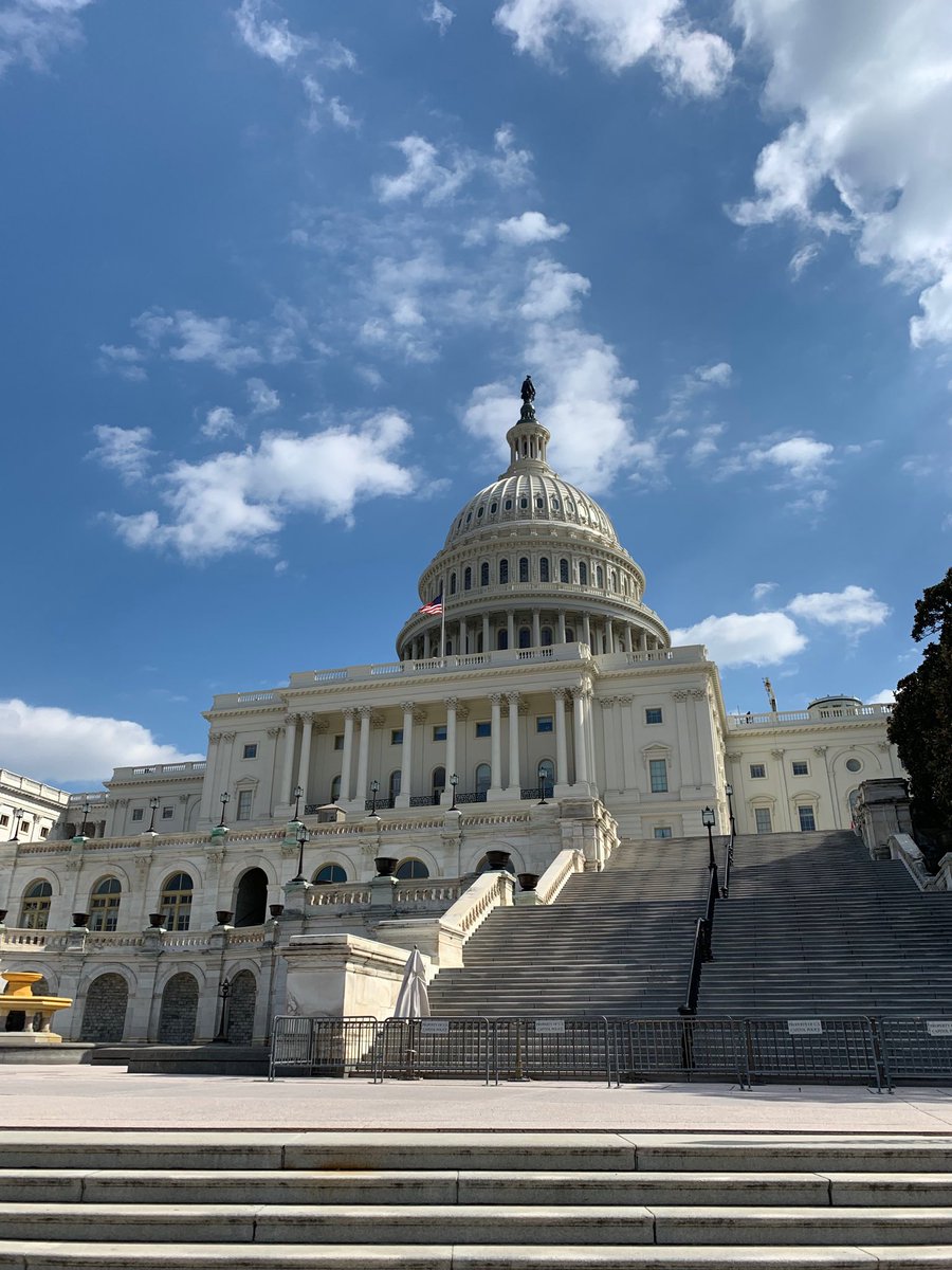 Megan Wittmann tweet media