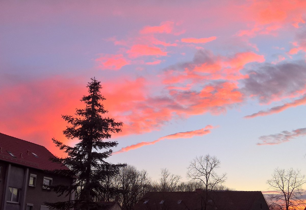 SweetSixteen68's tweet photo. ❣ Sky-Porn from our Balcony now 19:09pm ❣
#balconyview #eveningbalconyview #skyporn #eveningclouds #redfiresky #dramaticsky #hammheessen #meinhamm #meinestadt #nrw https://t.co/DBq335SeT2