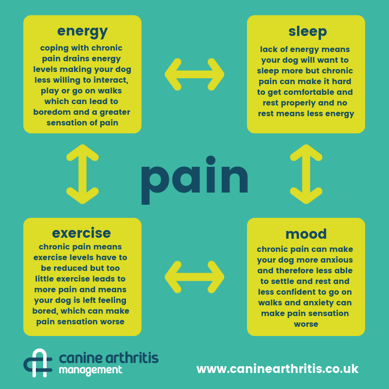 CAMarthritis tweet picture
