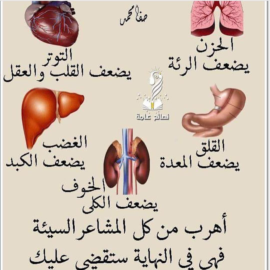 jbramer170's tweet photo. نصيحة اليوم لاعضاء الجسم https://t.co/32gGq7YG0Q