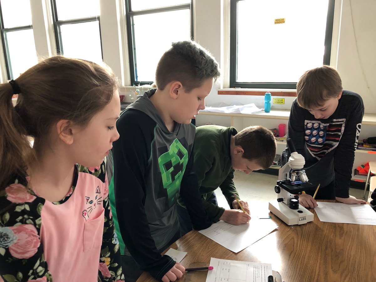 Jacksears77's tweet photo. 5th grade science innovation day! We can make observations based on their properties. Slides from a kit with the labels covered up. At the end I told them what they were. 

"Cat blood!?!?!?!" 
#newfieldcsd https://t.co/IJ8gdLbif7