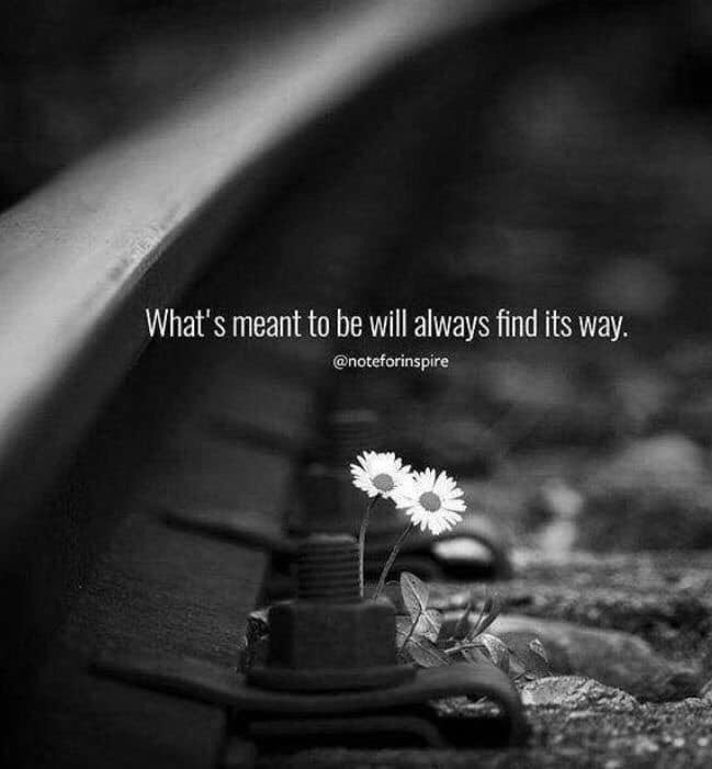 saint_nine_'s tweet image. #MeantTo