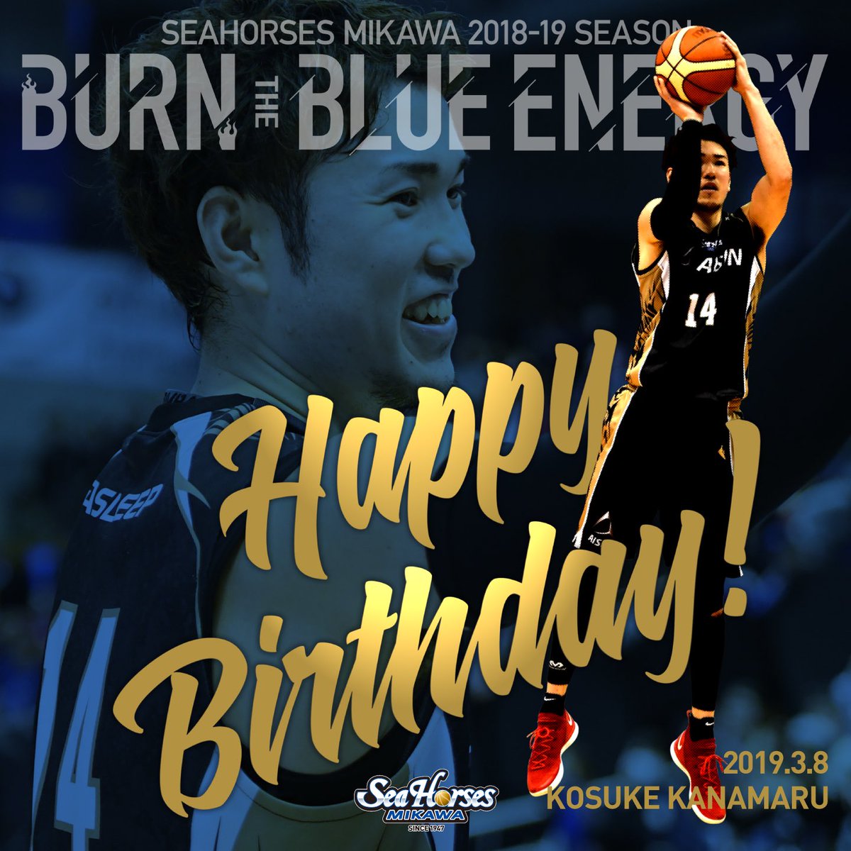 go_seahorses's tweet photo. Happy Birthday🎉 
Happy Birthday🎉🎉
Happy Birthday🎉🎉🎉
#Bリーグ
#シーホース三河
#14金丸
#金丸晃輔
#1989年3月8日 https://t.co/KKoSxrOskg
