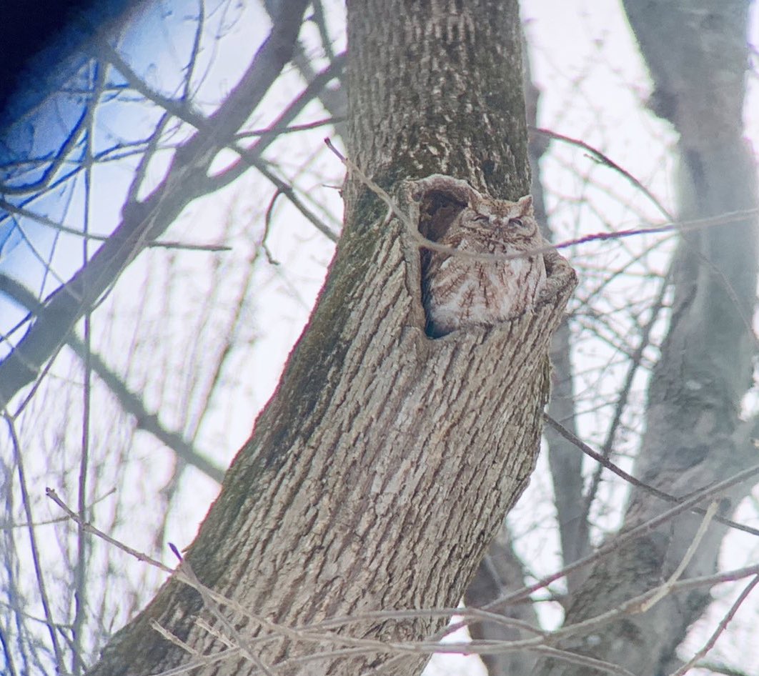 macattack_16's tweet image. Find of the day