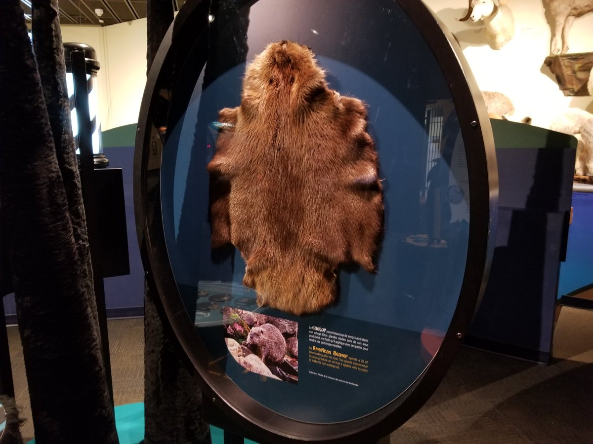 itsjdphoto's tweet photo. Fun new exhibit at @ExplorationPG. It's called Disheveling and it's all about hair. #cityofpg #explace https://t.co/b71g3RCx06