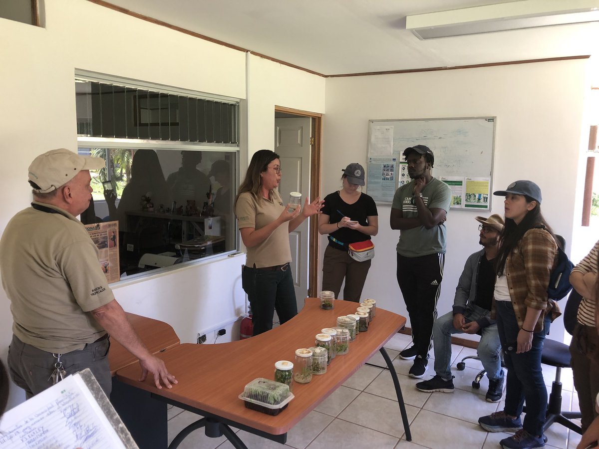 PSU_PlantEpidem's tweet photo. Day 4 morning: visits to FOPRORCA and the tissue culture lab at INTA - from planting stock to exportation for root and tuber crops. #InTico #lionsonlocation #INTAD820 #CostaRica #weare #psu @PennStateINTAD @AgSciResearch @agsciences #puravida https://t.co/woUgvRapqS