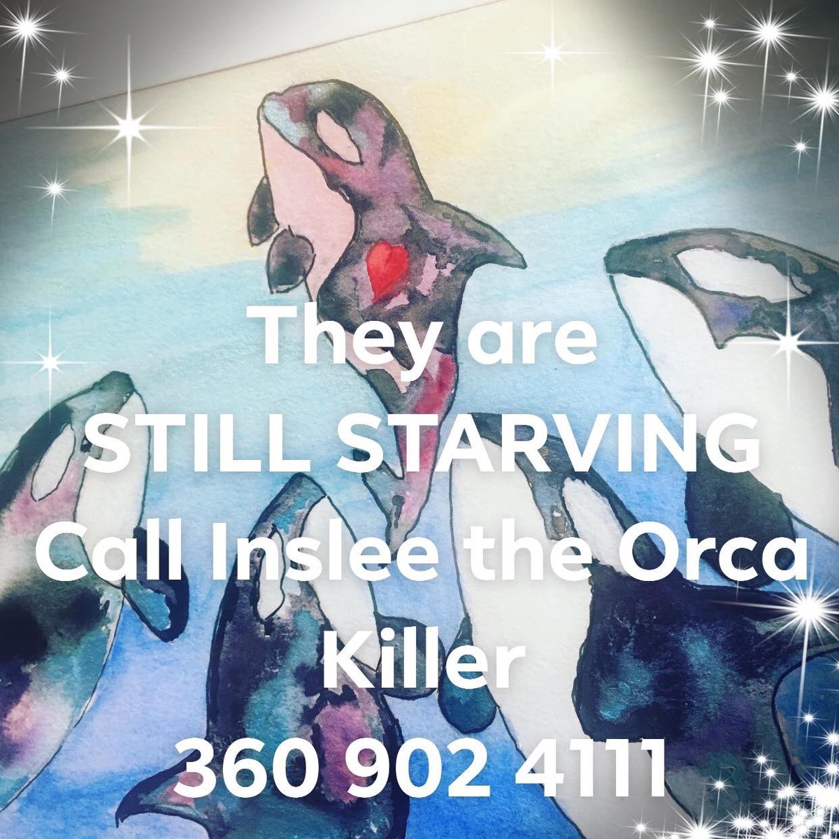 Freedom for Lolita! (@lolitaneglected) on Twitter photo 