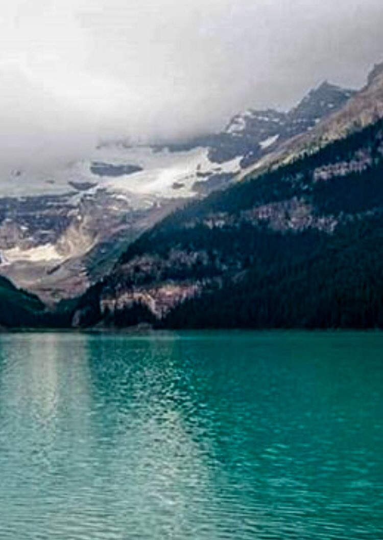 Jeff Bennett tweet media