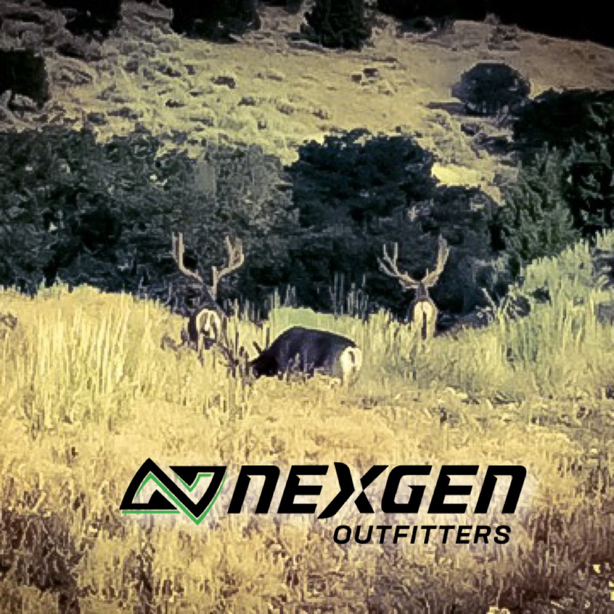 NexgenOutfitter's tweet photo. Don’t miss your shot 💥 Utah Elk, Mule Deer, Antelope, Mtn Goat, and Bison draw application deadline is tonight!!! 

https://t.co/yVud4dMuio

#nexgenoutfitters #huntutah #moose #bighornsheep #mountaingoat #bison #speedgoat #muledeer https://t.co/llUOvQeOvK