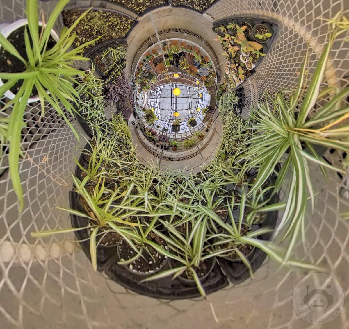 FlyingRobotUSA's tweet photo. HDR tiny planets with the Insta360 One X! Follow @vresh for more 360° content!
Get your own One X here with a FREE selfie stick
https://t.co/2xryyVlP9g
#insta360 #insta360onex #vresh #360camera #tinyplanet #letsveer #tinyplanets #360vr #360photo #360photography #360cameras #360º https://t.co/zbXjNOQLSi