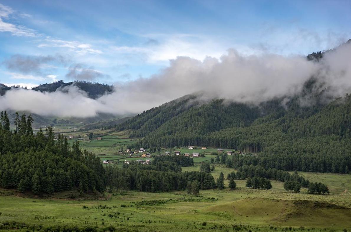 drukheritage's tweet photo. Phobjikha Valley 🗺A 4 hour drive from Punakha Valley brings you to Phobjikha Valley, a luscious green wonderland that's home to the infamous Black Neck Crane! 🇧🇹
#DrukHeritage #PhobjikhaValley https://t.co/DbEHcikiYx