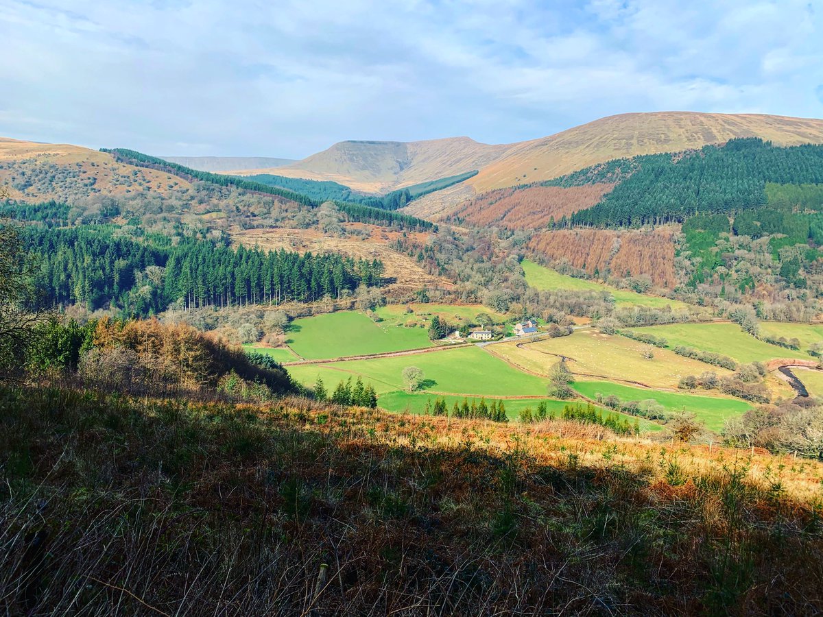 Dan Doherty tweet media