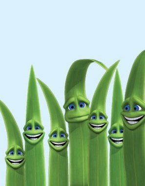 GrassGr's tweet photo. Spring is quickly approaching! Don't forget to book all your #lawncare and #propertymaintenance needs. #springiscoming #Brampton https://t.co/mXYJkY7uDt
