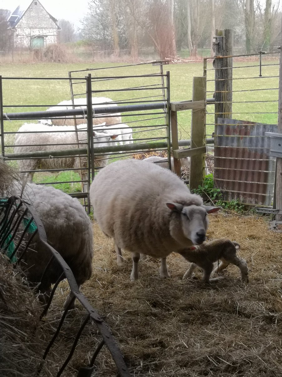 Aurélien Perier tweet media