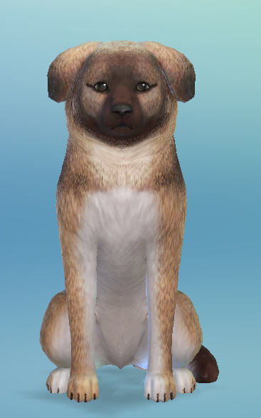AshariaArt's tweet photo. #Asharia #AshariaArt #TheSims #TheSims4 #GermanShepherdPuppy now in my gallery! The Idea is inspired by #ANB131. She makes awesome pets. This dog is a small dog and not a real puppy! Gallery Link for the Puppy: https://t.co/43HWmrZnKr https://t.co/83bVyNRhoK