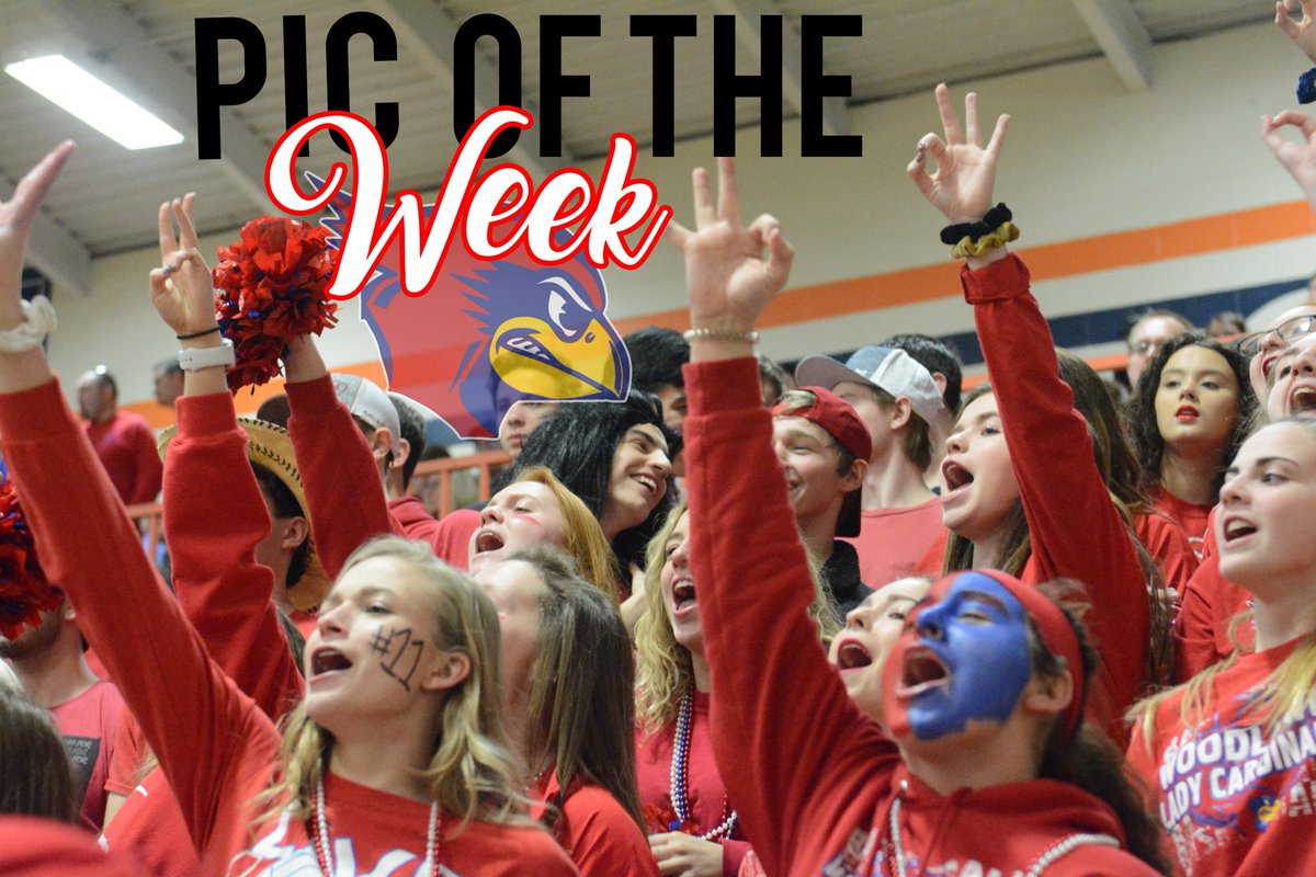 Created by: Lauren Harris