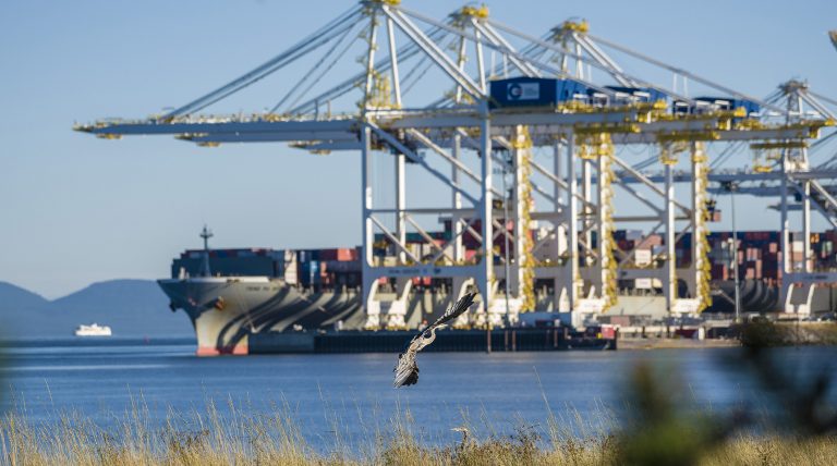 GCT_Can's tweet photo. When Canada’s largest container terminal operator commits to reduce greenhouse gas emissions, the potential for impact is significant. Read more about GCT's work with @climatesmart on emissions reductions in @PortVancouver! https://t.co/AH6owoC6Z8 https://t.co/OkoL0SILmp