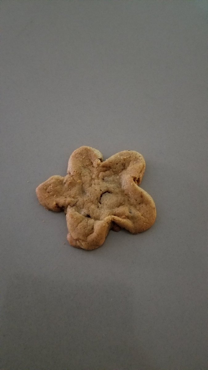 Science 7 had some fantastic presentations today on different animal classes! Kahoots, specimens to show the audience, and starfish cookies put them over the top! Great job 7th graders! #NaplesCSD