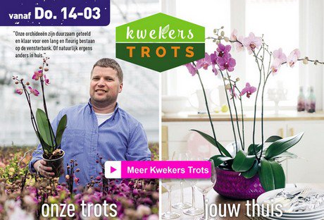 bpnieuws tweet media