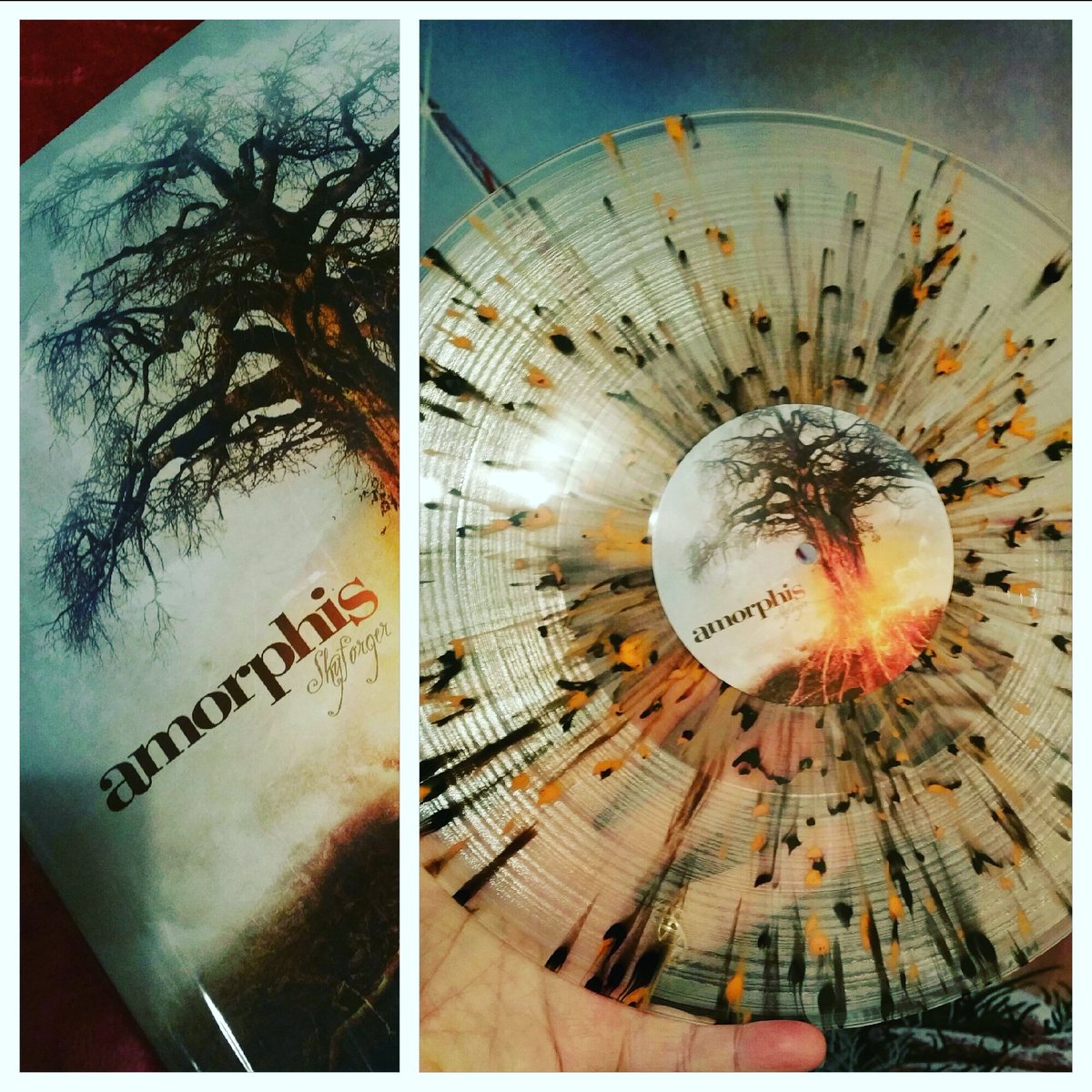 HarriganEliot's tweet photo. Eventually arrived today, my favourite @amorphis album #skyforger the first song I heard from this great band was #courseoffate been hooked ever since, this looks amazing in Clear with Orange & Black splatter vinyl
#collectvinyl
#splattervinyl
#collecable
#amorphis https://t.co/jYkTEhQj2W
