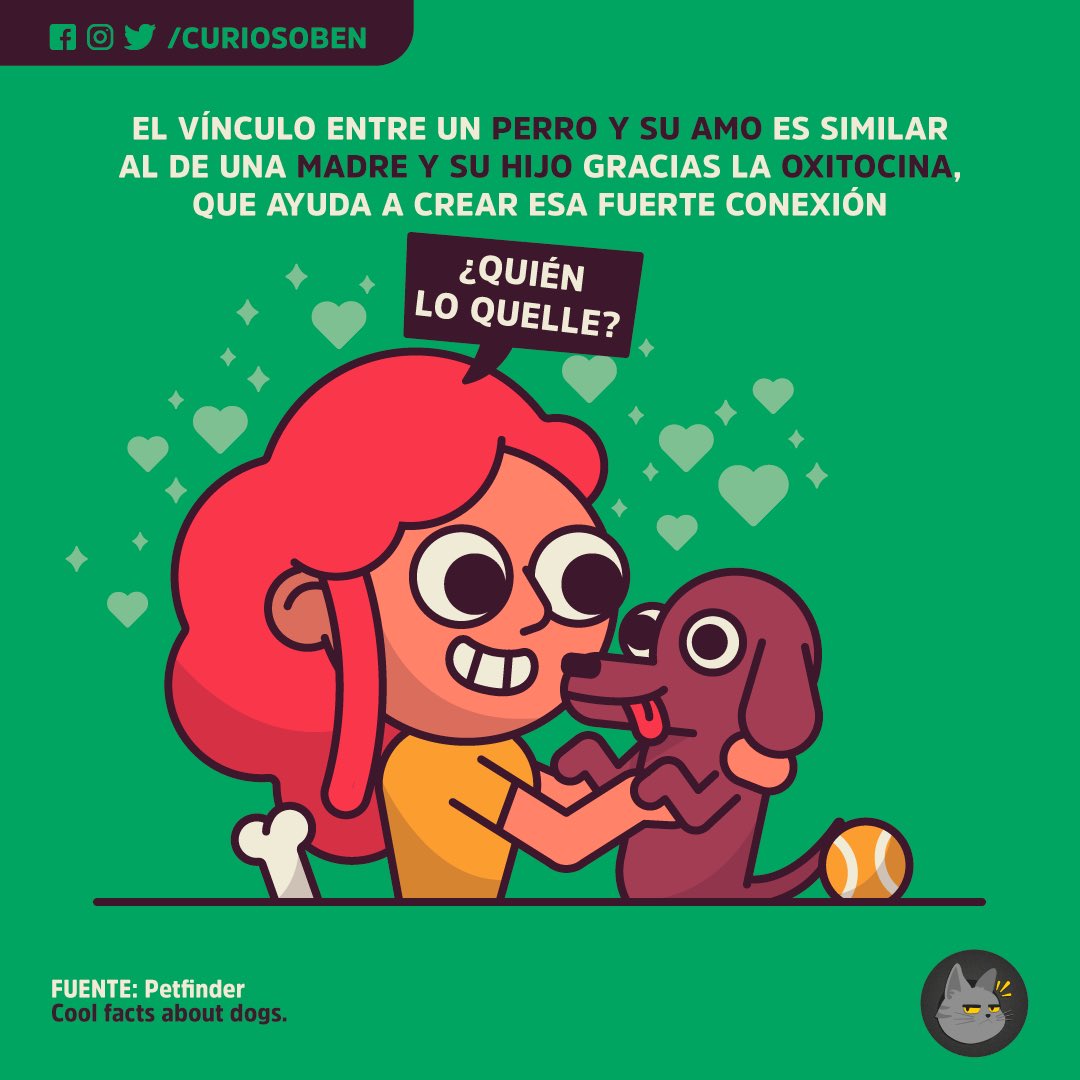 CuriosoBen's tweet photo. Deja un ❤️ si amas a tu perrito/a y comenta su nombre acá abajo 👇🏻😍🐶 https://t.co/IWaS4CwJt2