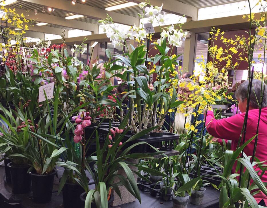 San Francisco Magazine Events tweet media