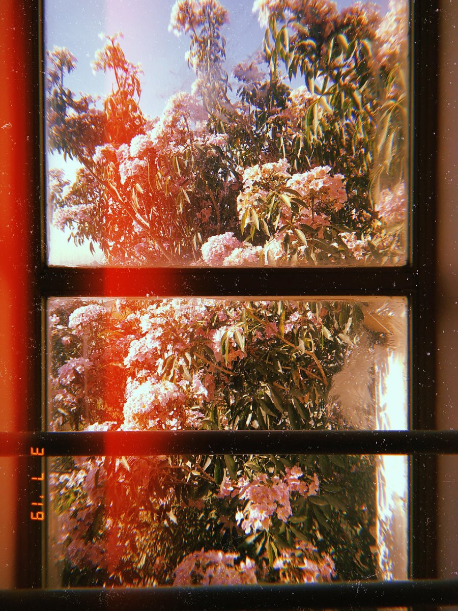 toekneestarc's tweet photo. Flowers for Louis because he deserves them more than any famous person in the world right now

#TwoOfUs #LouisTomlinson #LouisTomlinsonLive #FlowersForLouis https://t.co/FipFTBIKQj