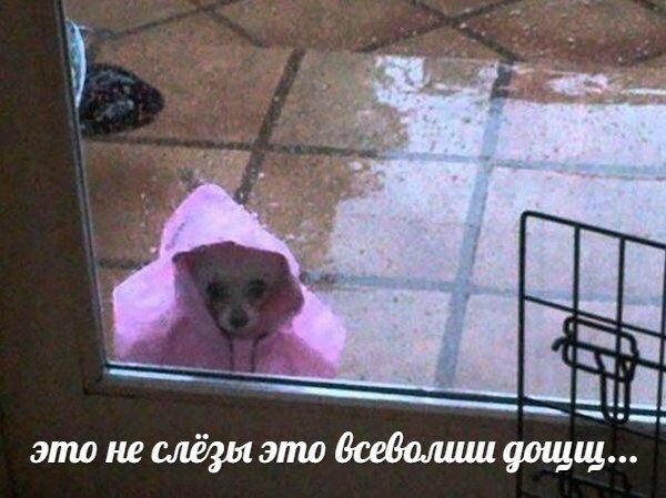 6hui9's tweet photo. Тот момент когда навалилось все и сразу и тебе нужно с кем то поговорить а у всех твоих друзей проблемы и ты не хочешь лезть со своими
И сидишь просто
Ждёшь https://t.co/lwDehtvSjP