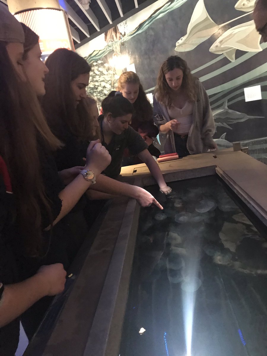 pollackscience's tweet photo. Pics of our #ibess day at the @NatlAquarium #FCCPS #gmscience https://t.co/6SXrOIWYM5