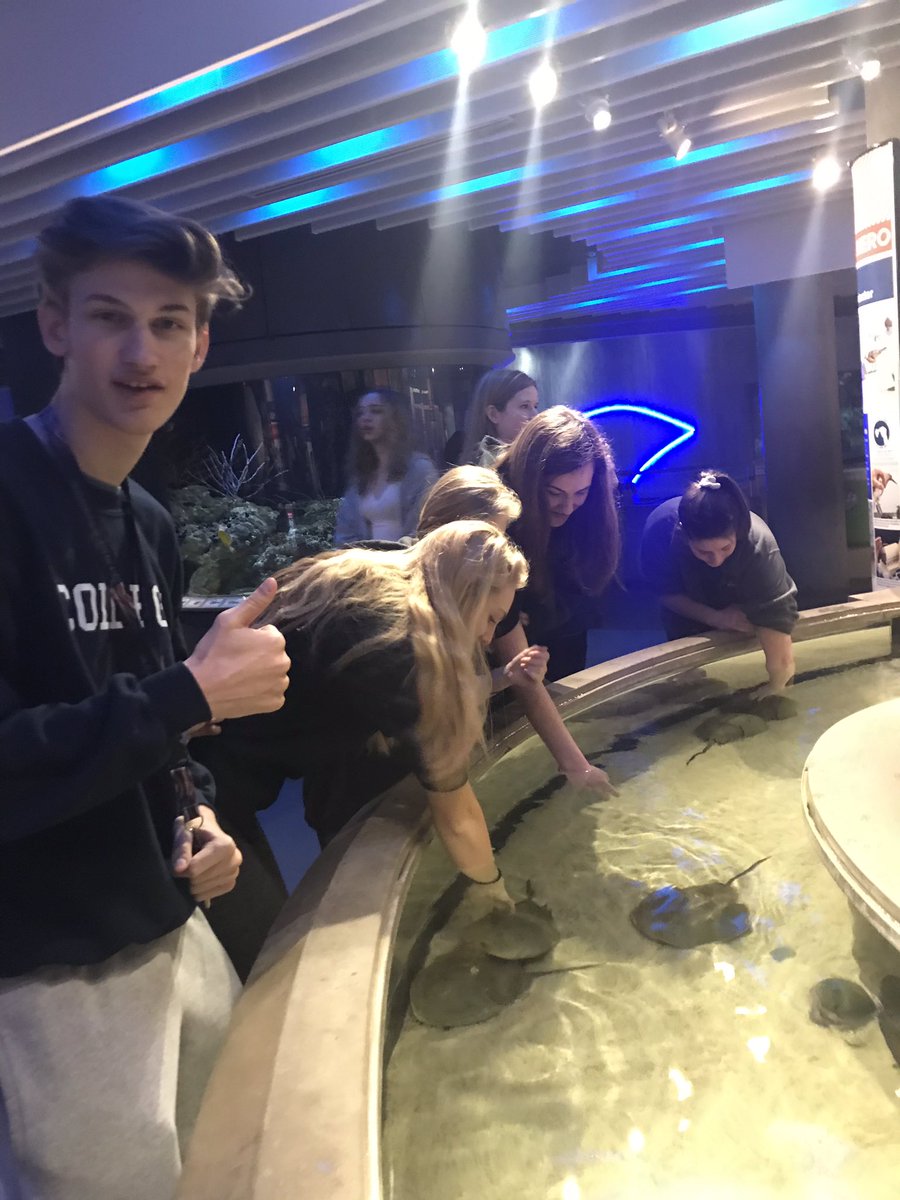 pollackscience's tweet photo. Pics of our #ibess day at the @NatlAquarium #FCCPS #gmscience https://t.co/6SXrOIWYM5